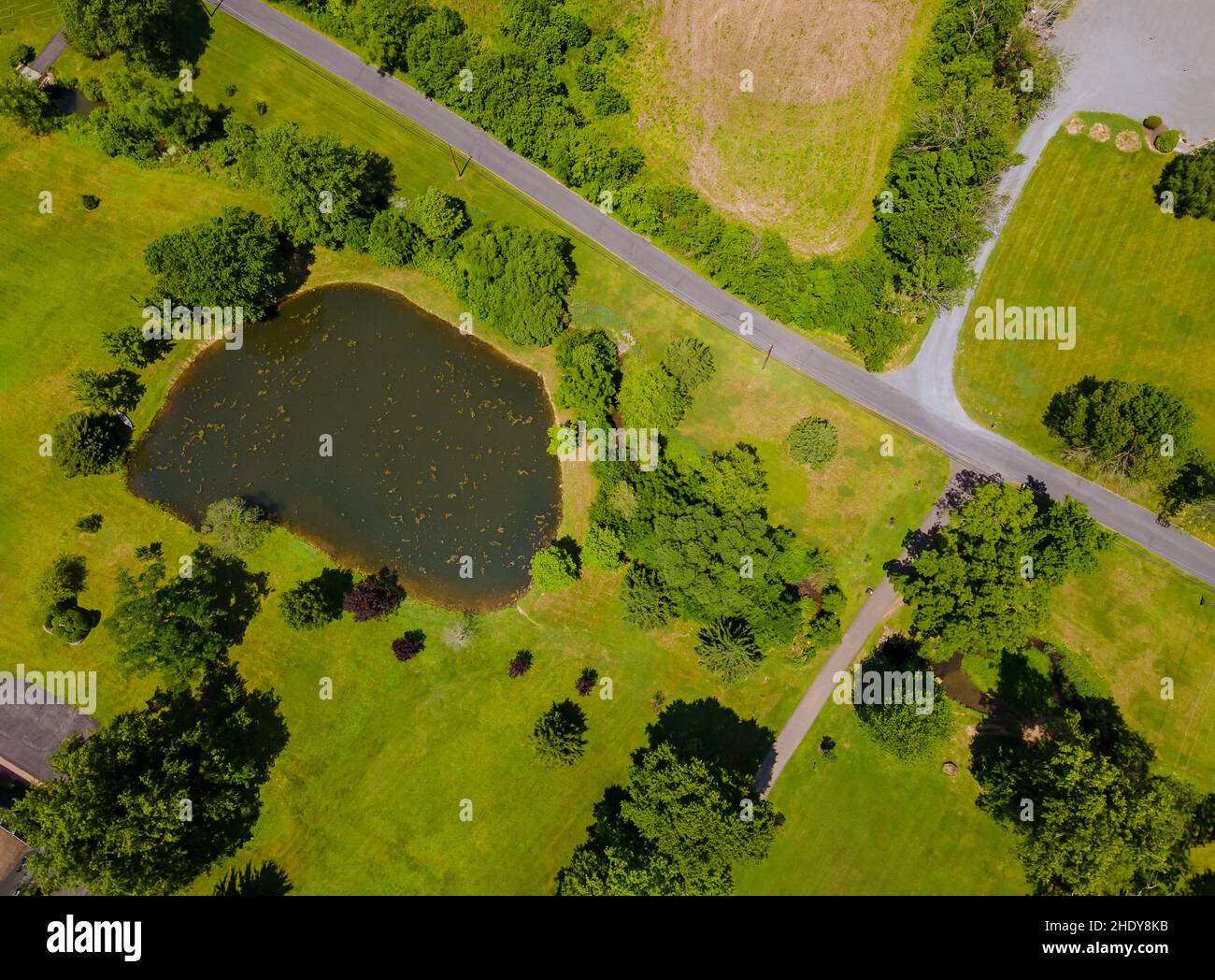 meadow, pond, road, meadows, ponds, roads, street, streets Stock Photo