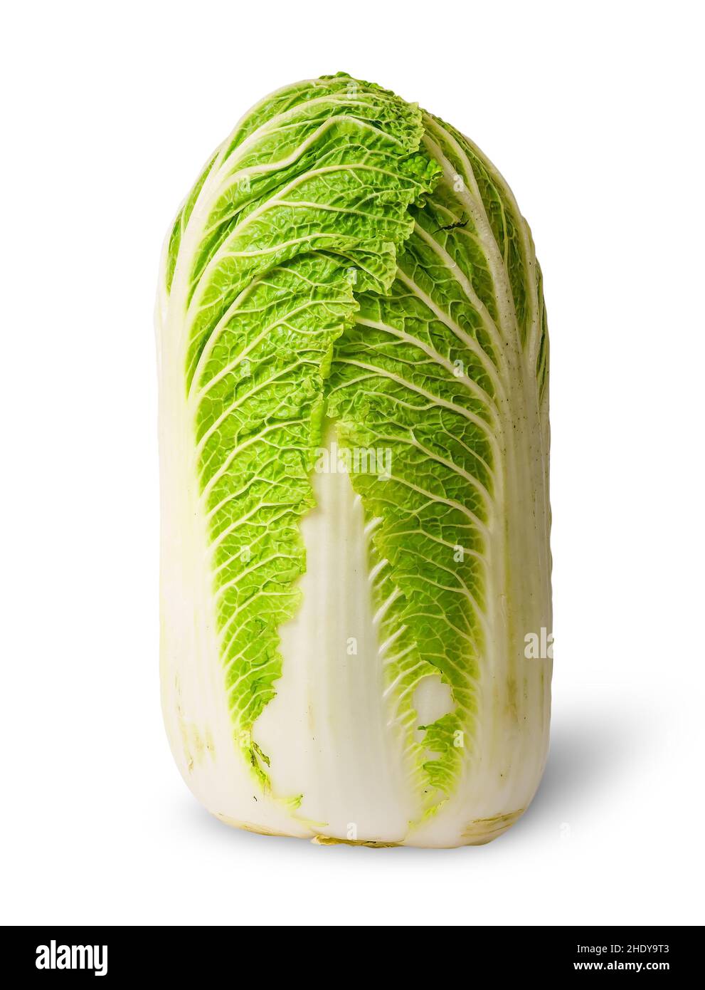 chinese cabbage, chinese cabbages Stock Photo - Alamy