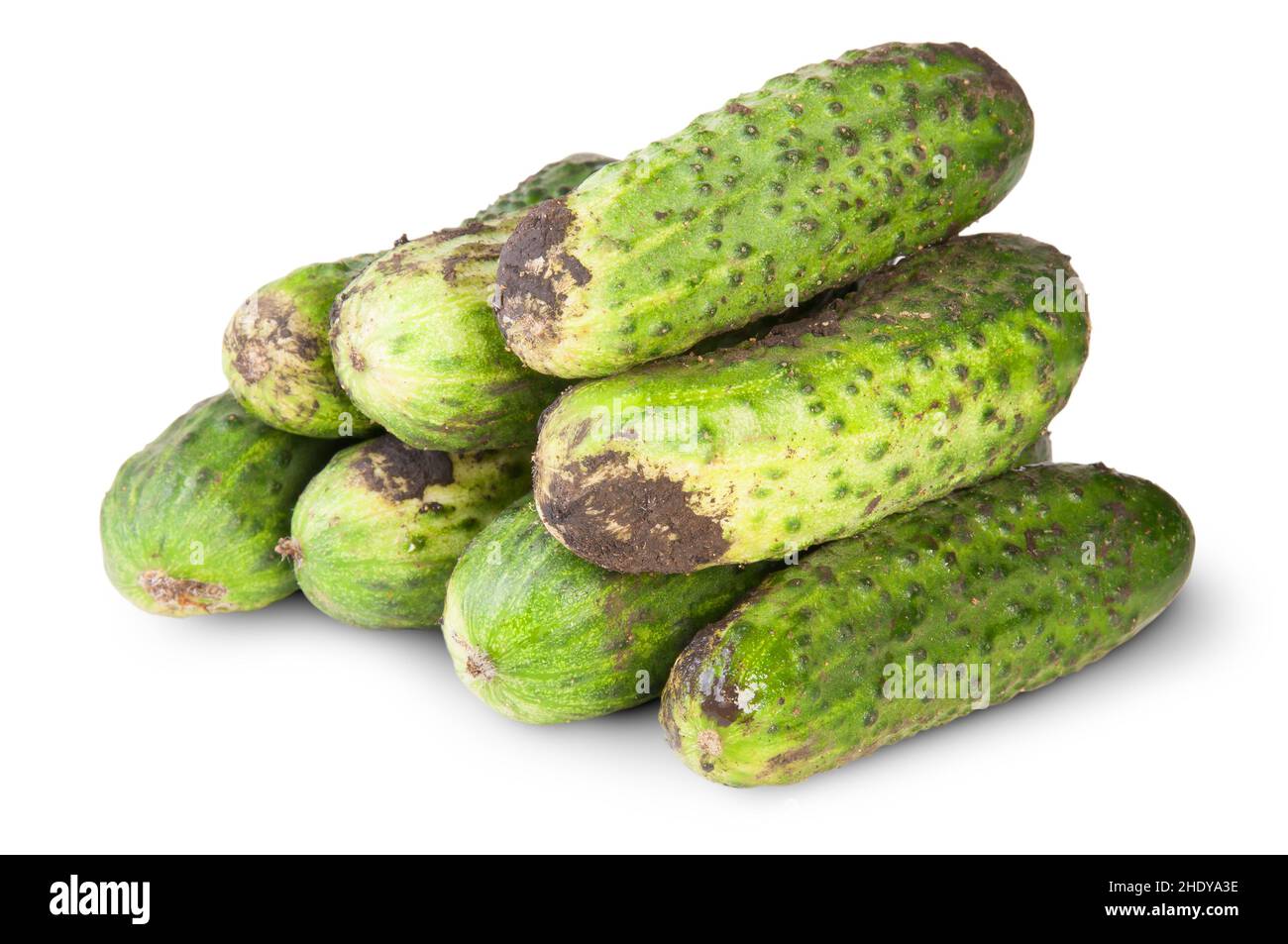 cucumber, pickle, cucumbers, pickles Stock Photo Alamy