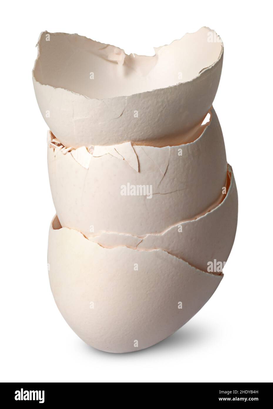 Egg Shell Through egg shell, egg shells Stock Photo - Alamy