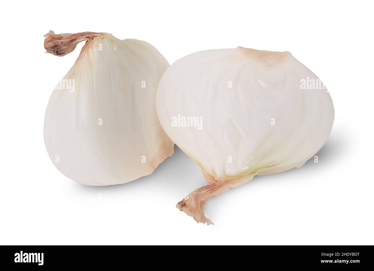 Peeled onion isolated hi-res stock photography and images - Alamy
