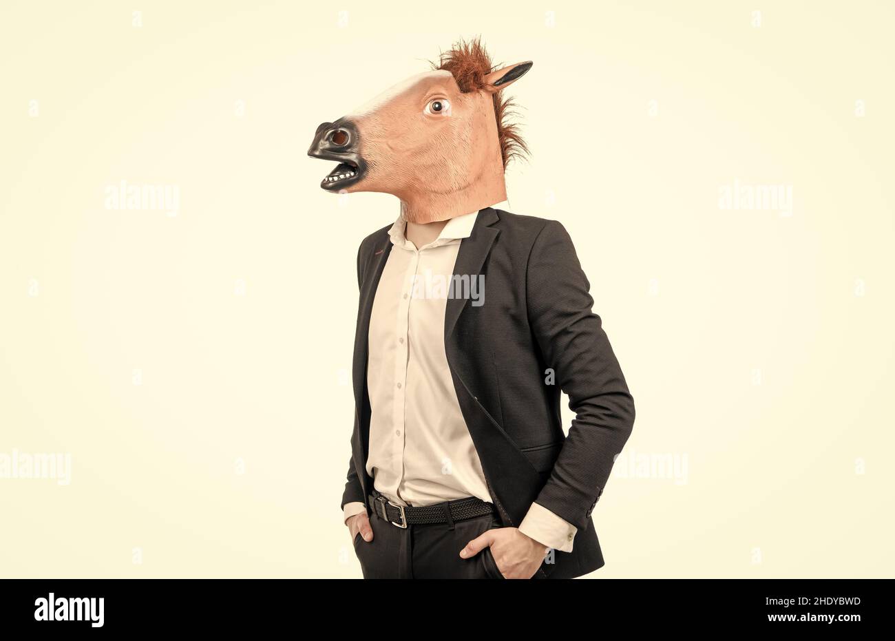 Professional hardworking man wear horse head mask with formal suit isolated on white, employee Stock Photo