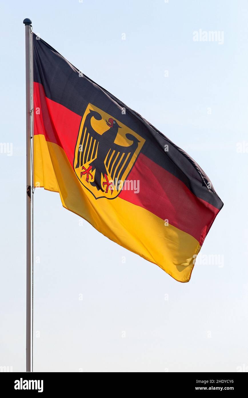 federal eagle, german flag, federal eagles, german flags Stock Photo
