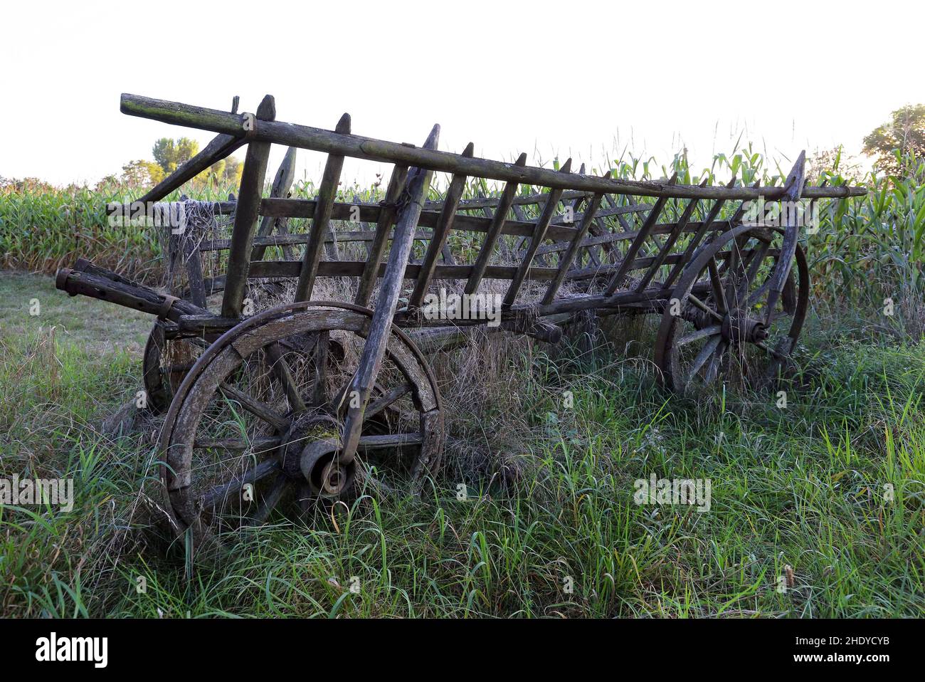 horse cart, horse carts Stock Photo