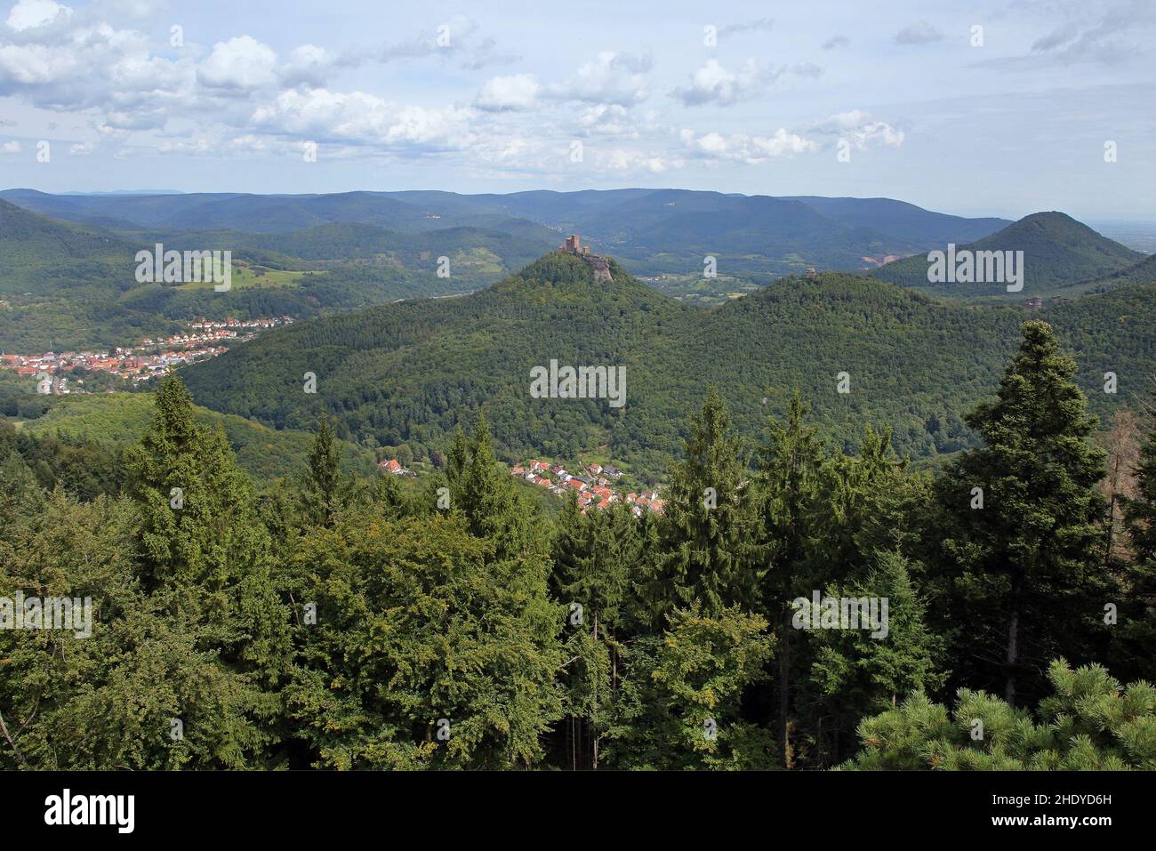 The palatinate forest hi-res stock photography and images - Alamy