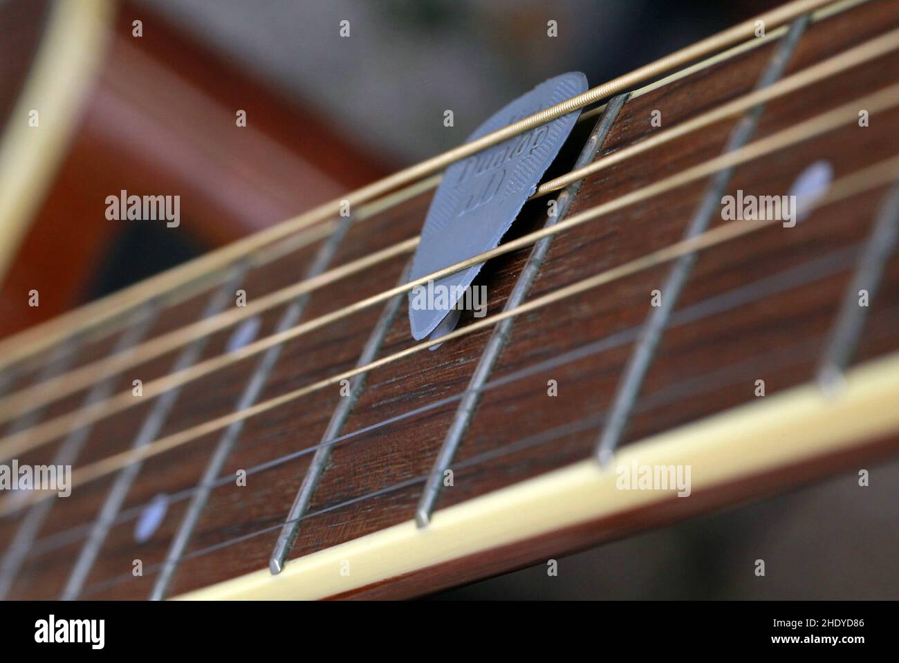 musical instrument string, fretboard, plectrum, fretboards, plectrums