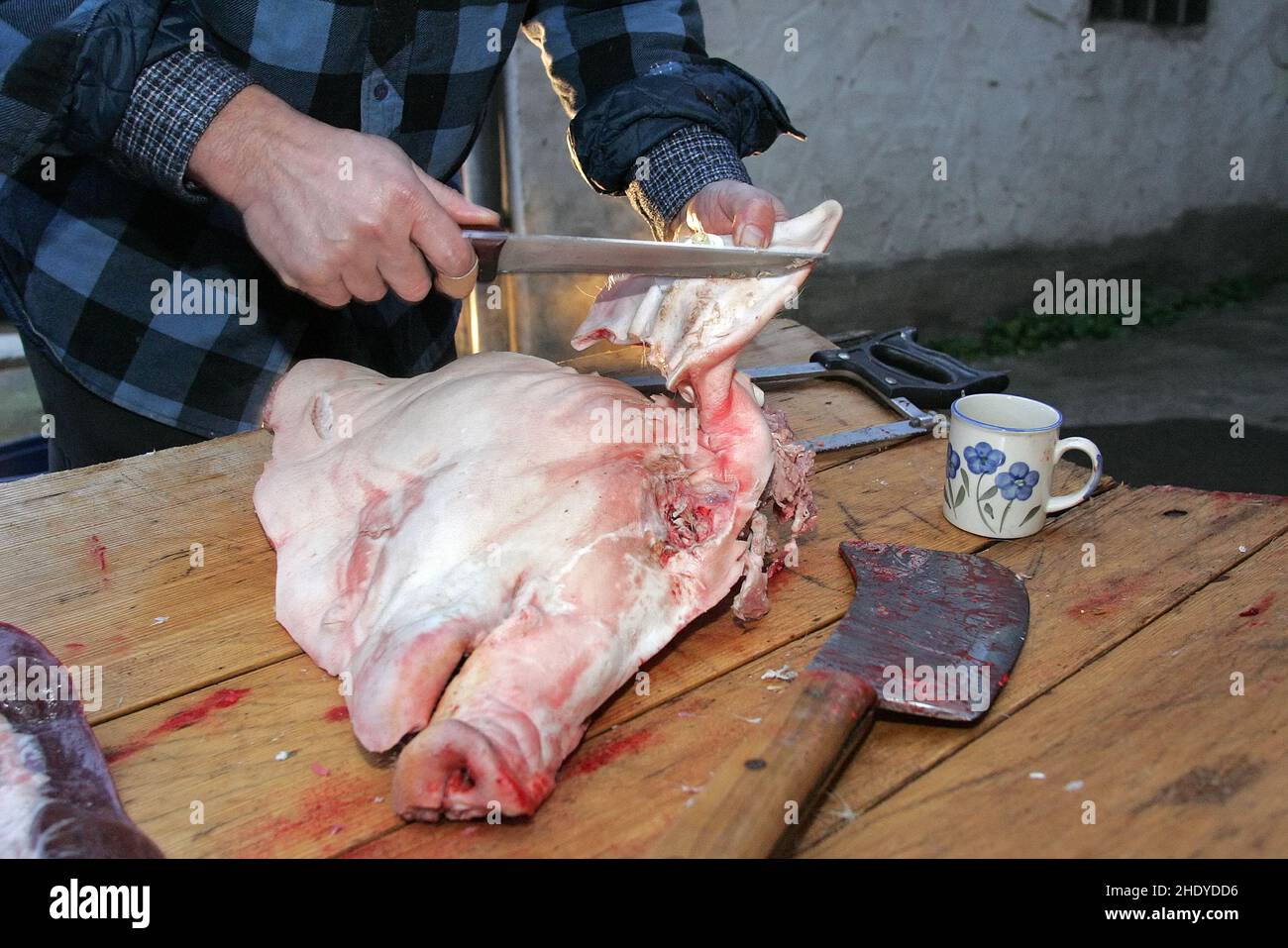 slaughtering, pighead Stock Photo
