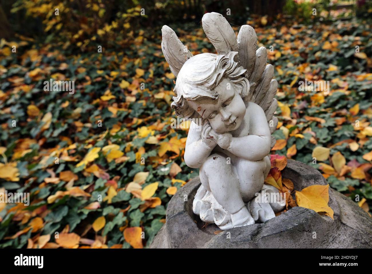 Angels angel hi-res stock photography and images - Alamy Angels angel hi-res stock photography and images - Alamy