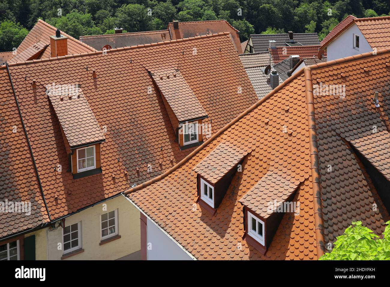 rooflights, tiled roof, roofs, rooflight, tiled roofs, roof Stock Photo