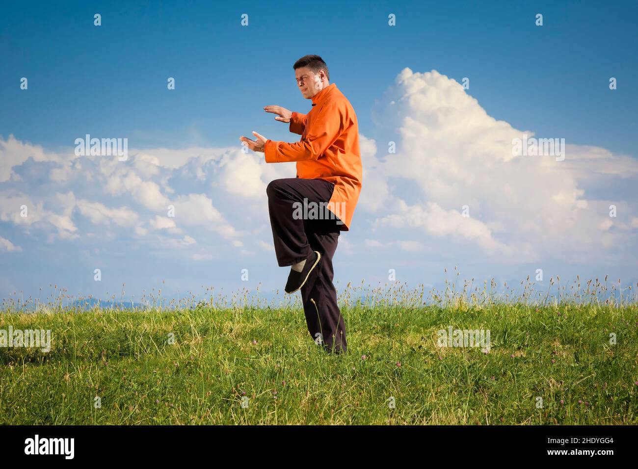 balance, martial arts, qigong, balances, combative sports, qigongs