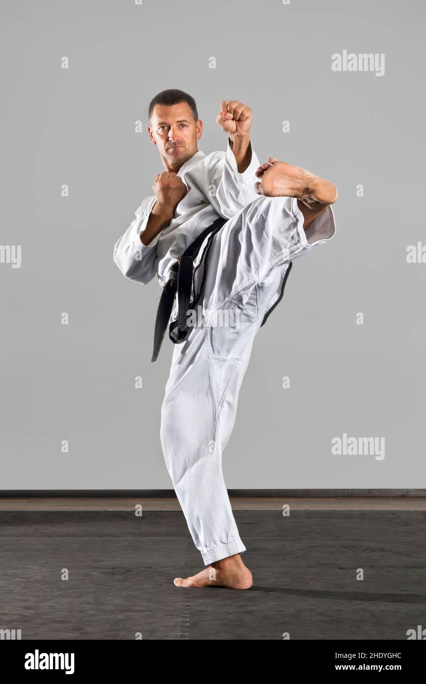 martial arts, karate, kickboxing, taekwondo, combative sports, karates  Stock Photo - Alamy