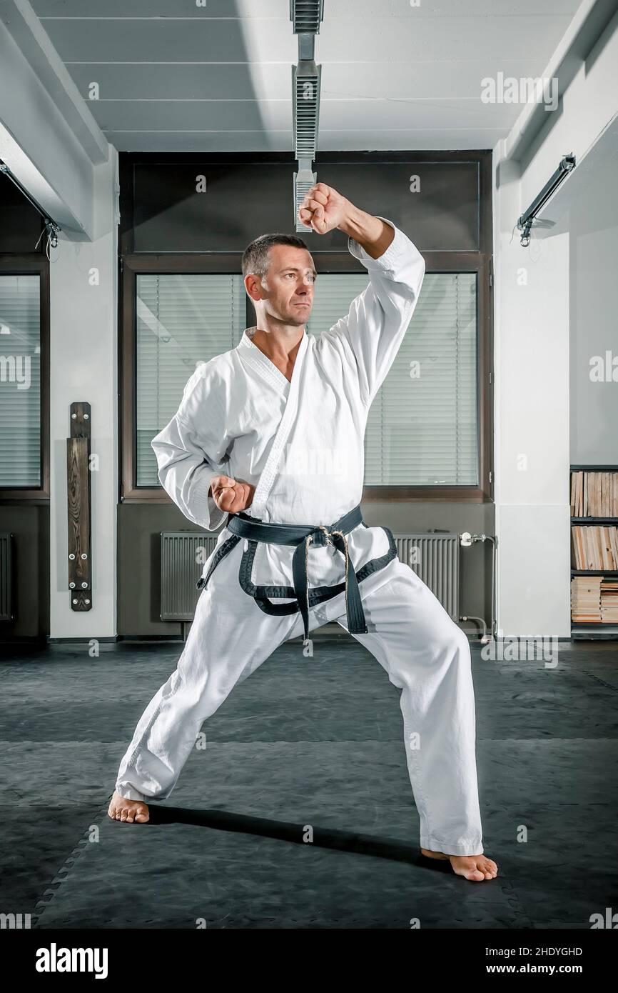 martial arts, selfdefense, karate, defensive attitude, combative