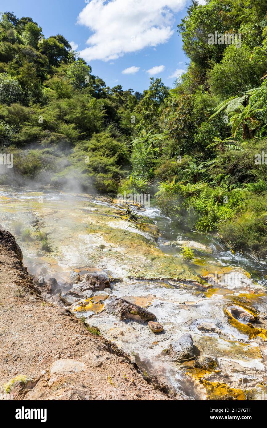 thermal area, thermal areas Stock Photo Alamy
