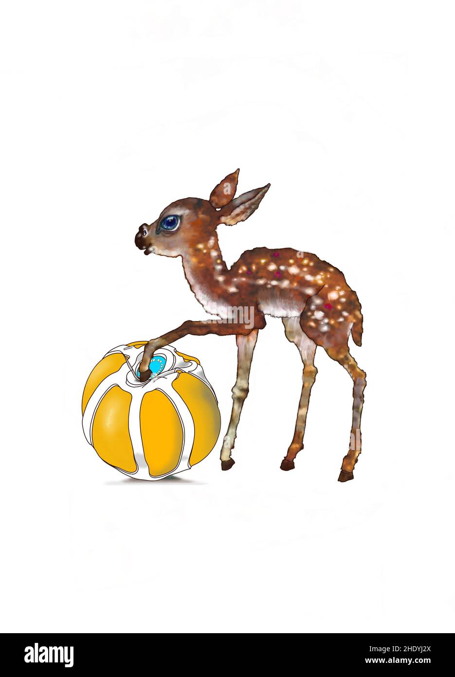 A small fawn, which has just risen to its feet, is playing with a beach ball. For general education about xwith wild animals in the earthly fauna. Stock Photo