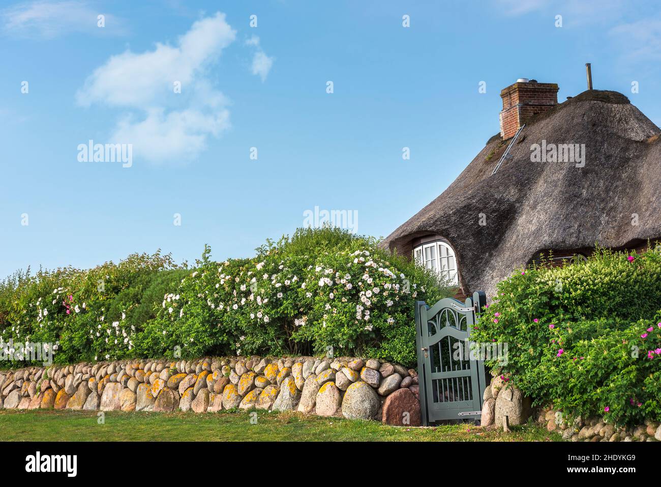 stone wall, hedge, thatched-roof house, stone walls, hedges, thatched-roof houses Stock Photo