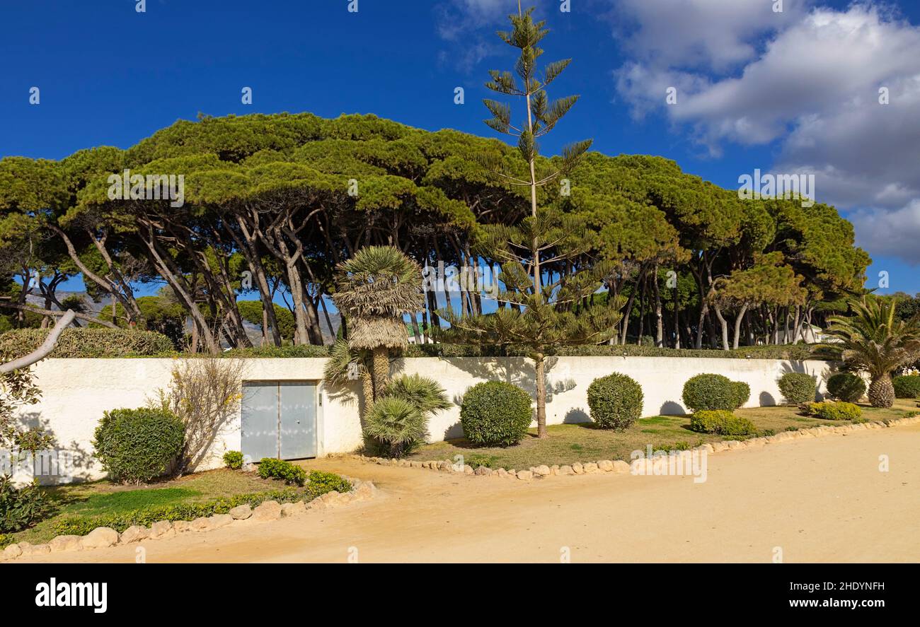 Shopping center in Puerto Banus, a marina near Marbella, Andalusia. Several  street vendors expect to sell your goods Stock Photo - Alamy