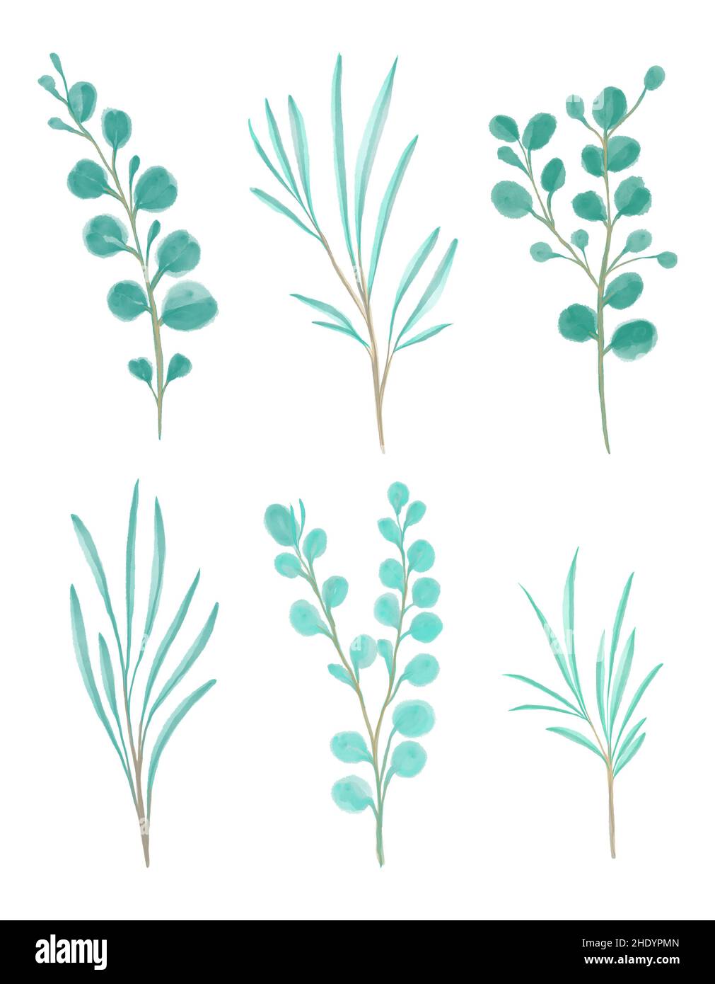 Watercolor floral illustration set - green leaf branches collection ...