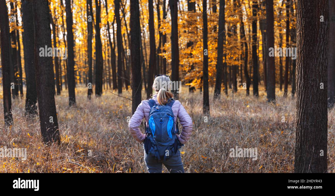 Woman hiking in forest at autumn season. Traveler with backpack in ...