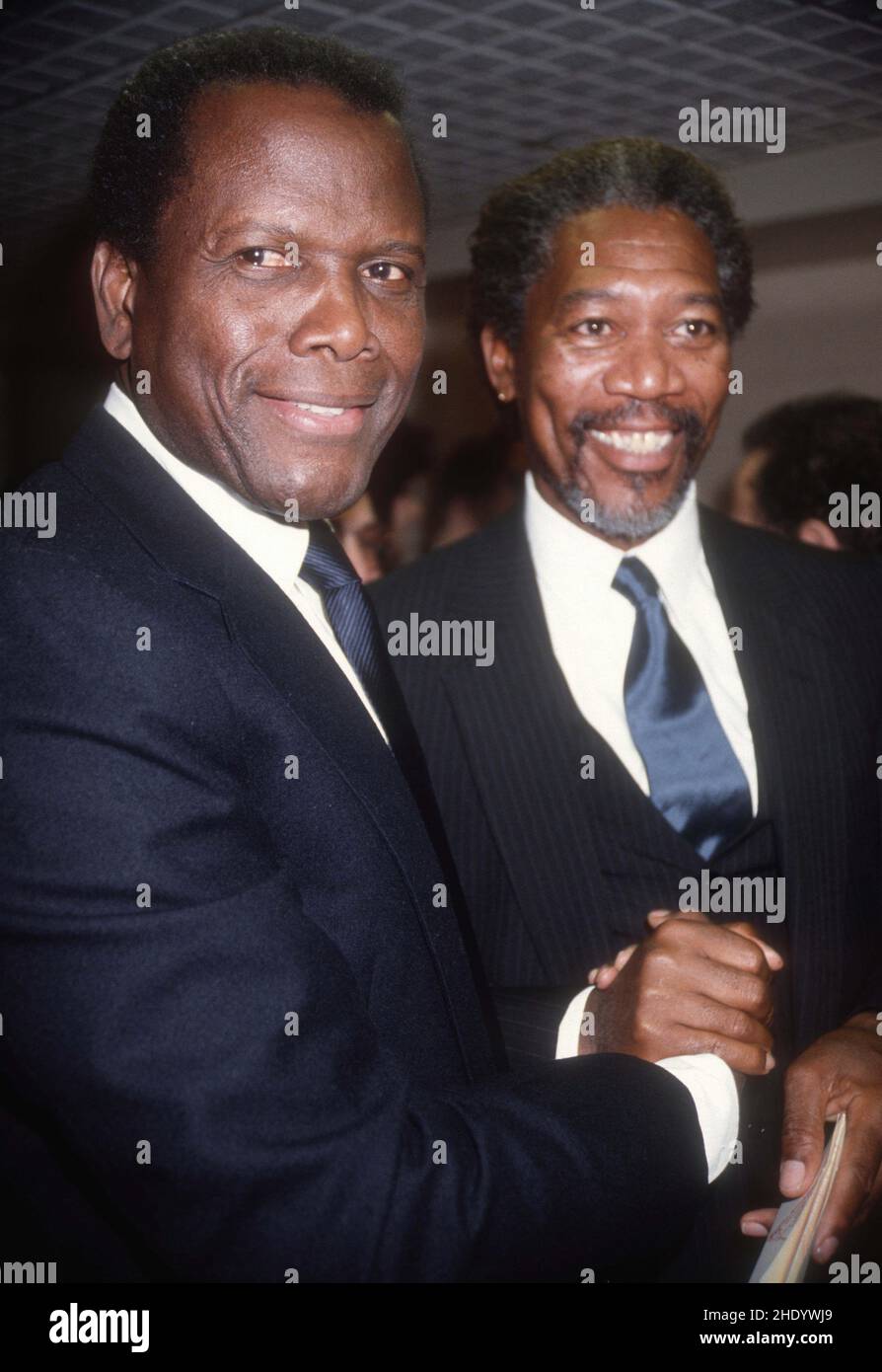 ***FILE PHOTO** Sidney Poitier Has Passed Away. Sidney Poitier and Morgan Freeman 1990 Photo By Adam Scull/PHOTOlink /MediaPunch Credit: MediaPunch Inc/17�Թ����� Live News Stock Photo