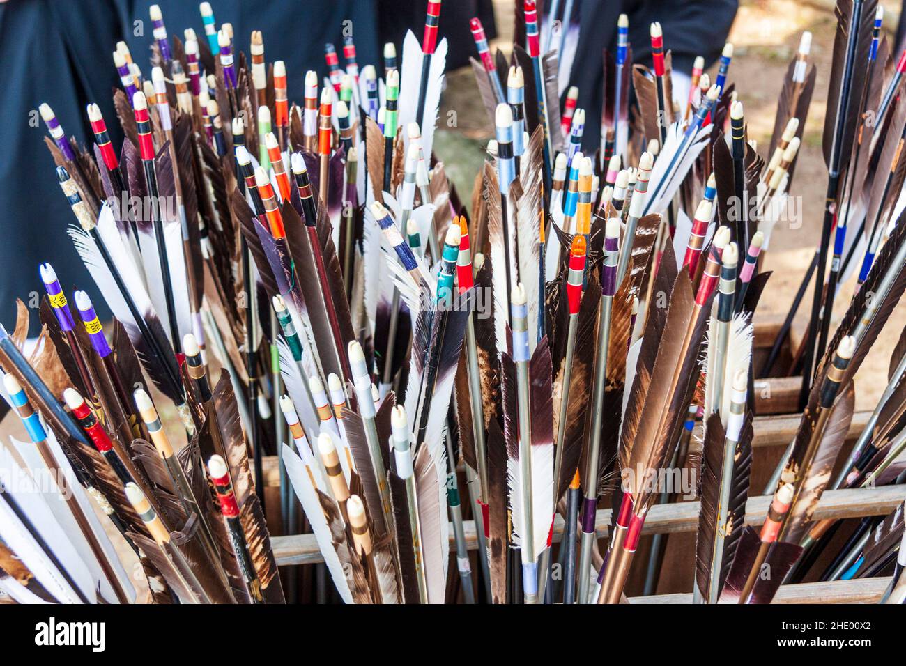 Collection of Japanese arrows stacked, heads down showing the shafts and colourful fletching, mostly feathers, and Nocks. Stock Photo