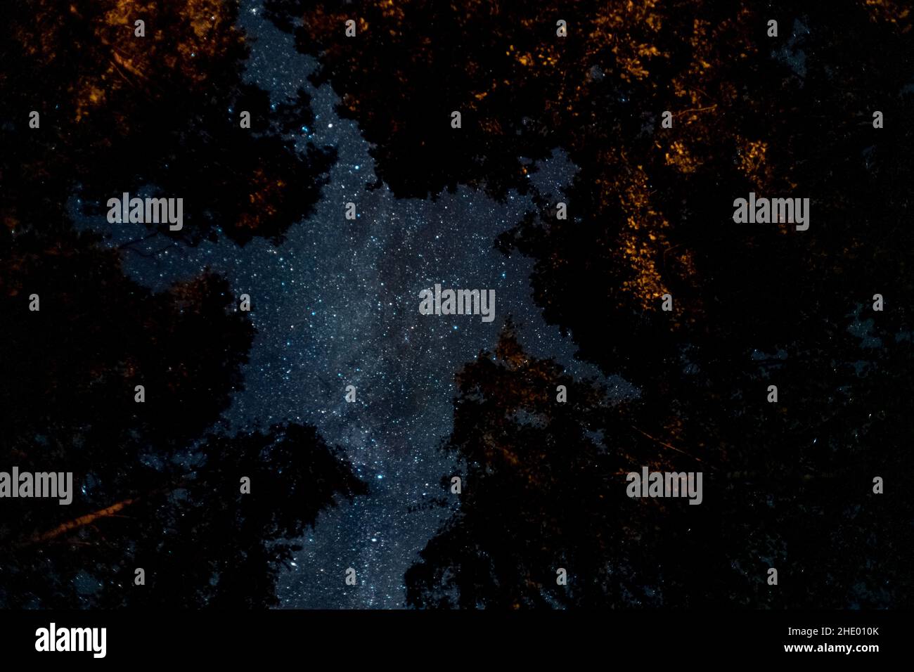 Low angle shot of the sky full of stars at night Stock Photo - Alamy