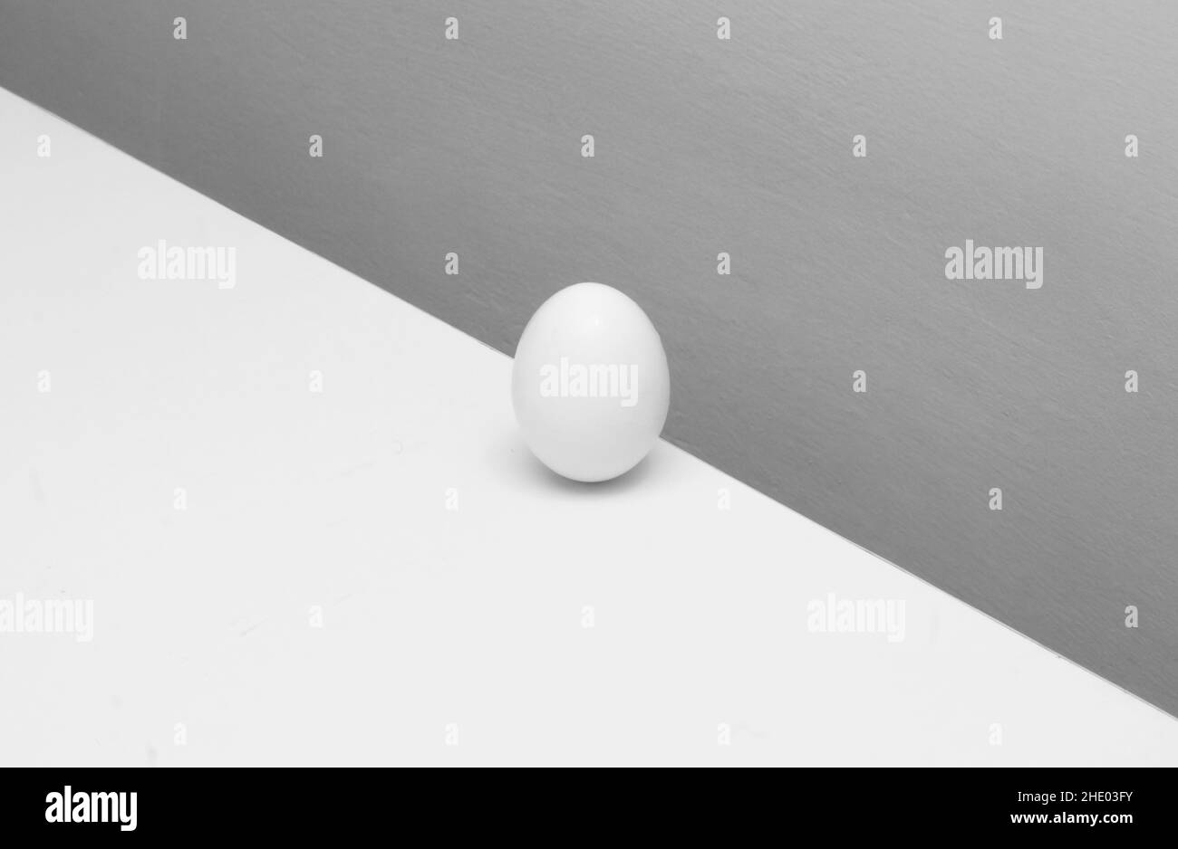 Closeup shot chicken egg Black and White Stock Photos & Images - Alamy