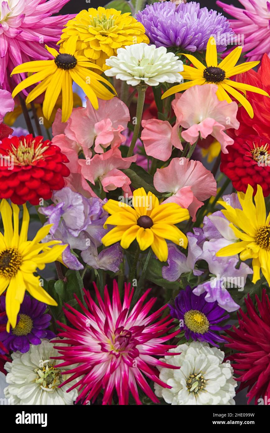 flower display Stock Photo