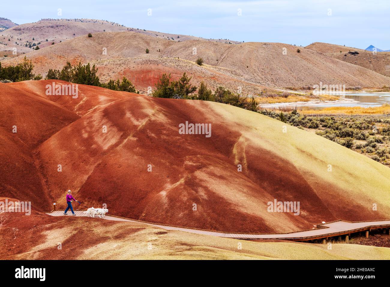Visitor walking white dogs; Painted Hills; geologic site; John Day Fossil Beds National Monument
