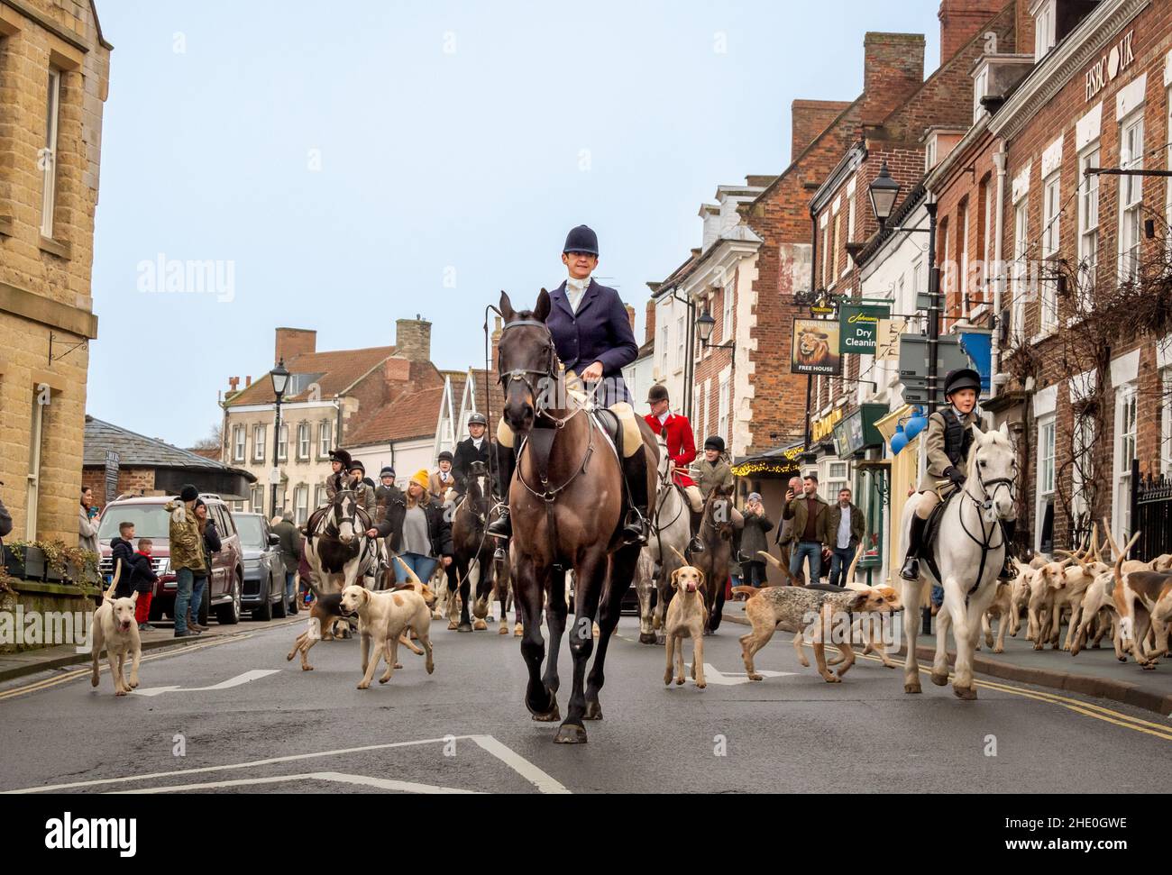 Mounted caucasian female, Whipper-in, keeping the foxhounds in order, with the aid of a long whip, ahead of the Middleton Boxing day fox hunt. Malton. Stock Photo