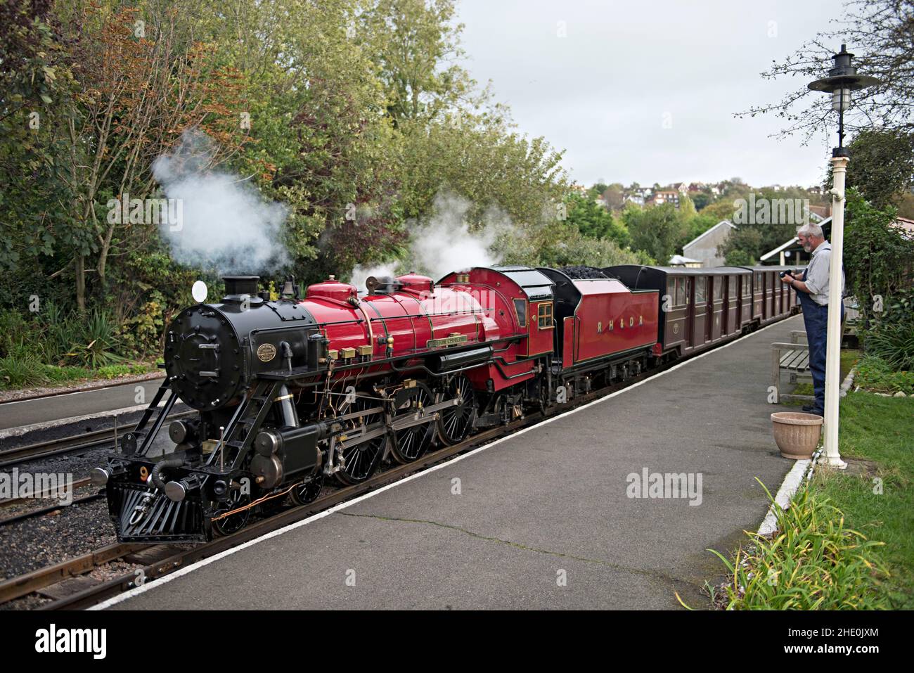 A steam locomotive heading a train on the famous 15inch gauge Romney Hythe and Dymchurch Railway at Hythe Stock Photo