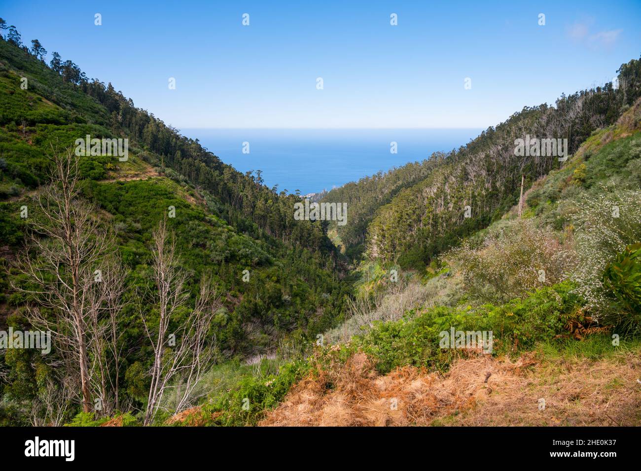 Spectacular panoramic view of Funchal, capitol of Madeira from mountain top. Stock Photo