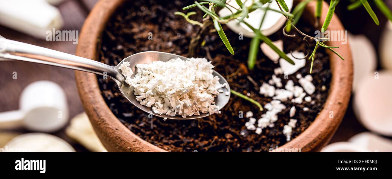 Crushed egg shells hires stock photography and images Alamy