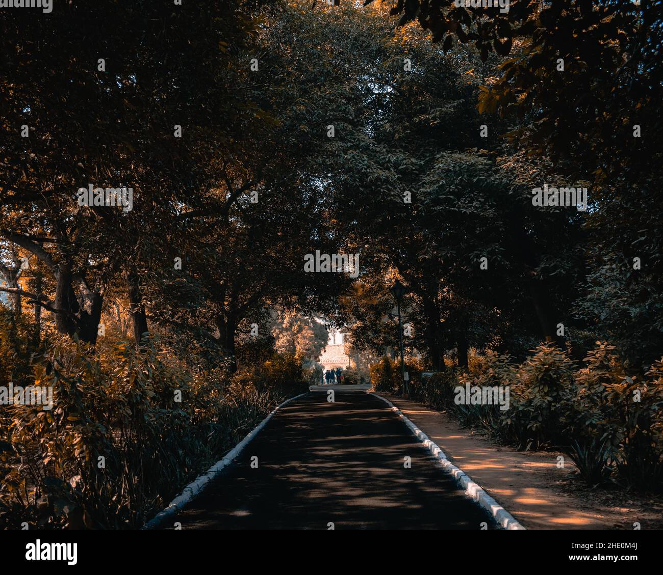 Empty trail under trees at a park in spring Stock Photo - Alamy