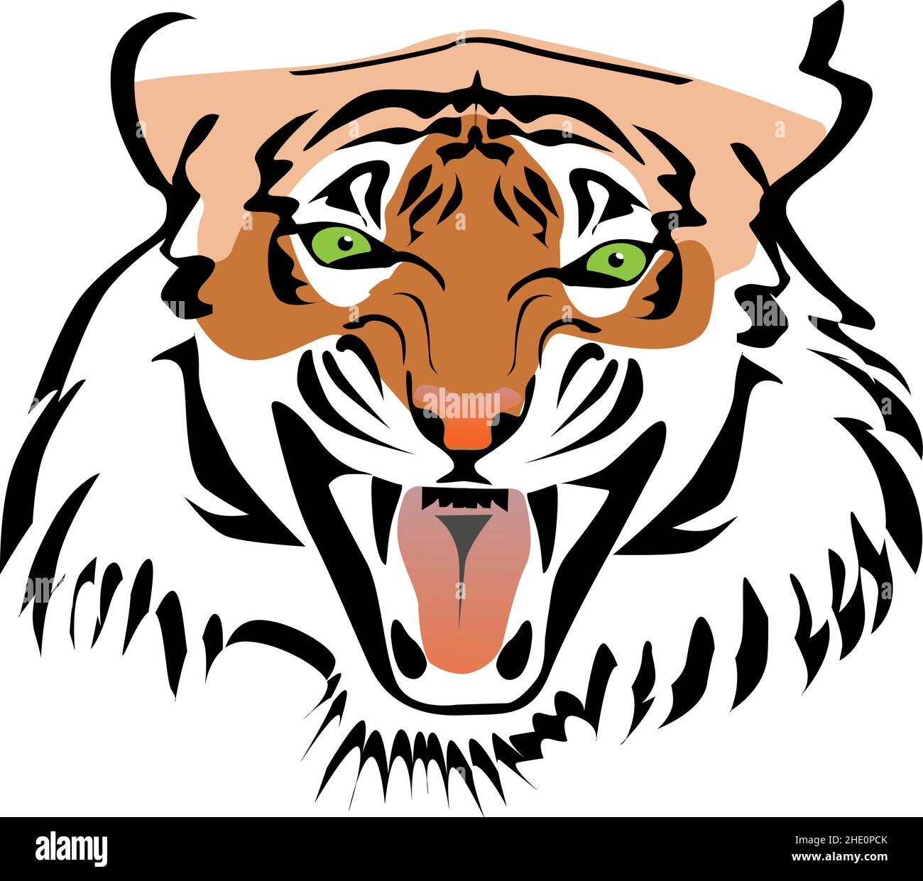 Front view of angry roaring toothy tiger face color vector illustration close up portrait Stock Vector
