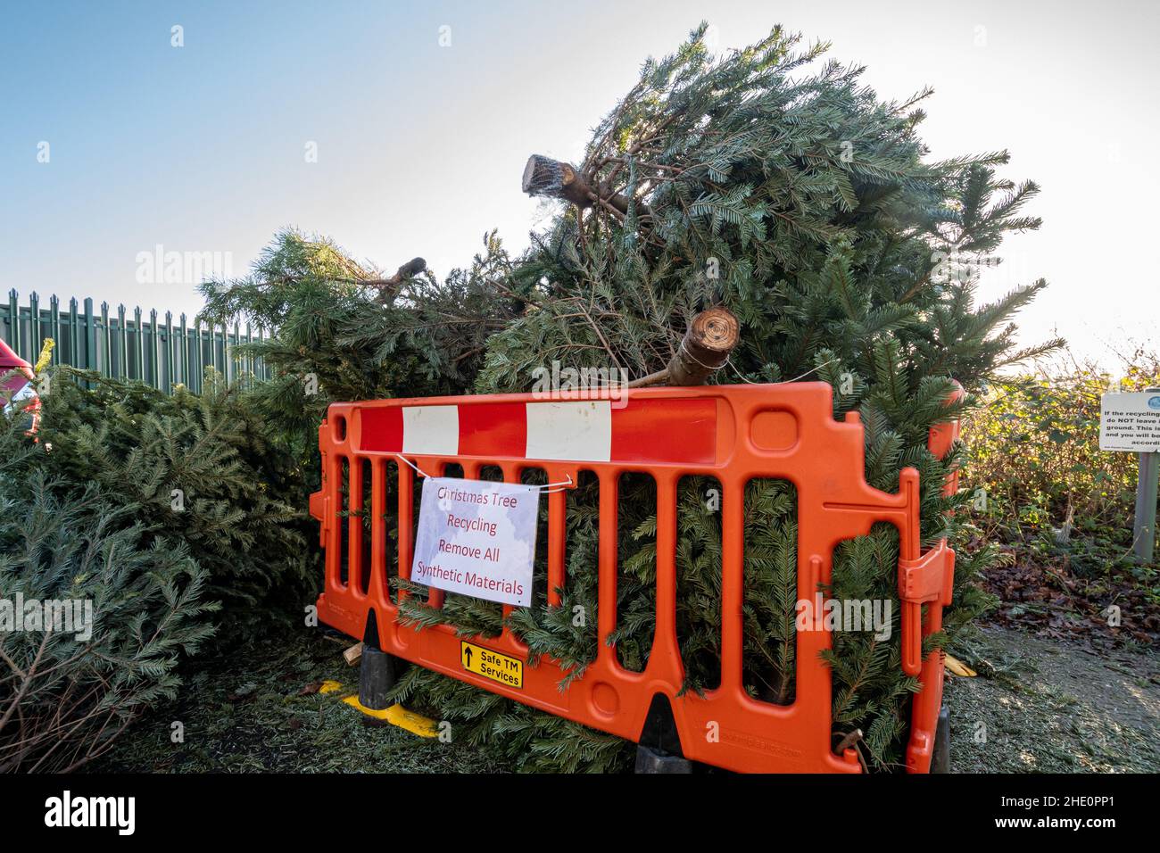 Disposing of christmas tree hires stock photography and images Alamy