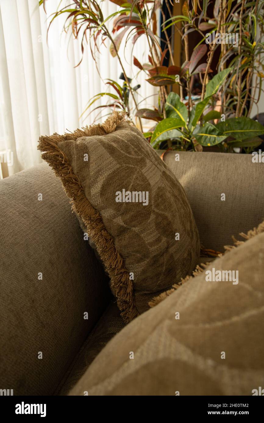 detail of the texture of patterned cushions on a sofa, next to a window with curtains and a plant, home interior decoration Stock Photo