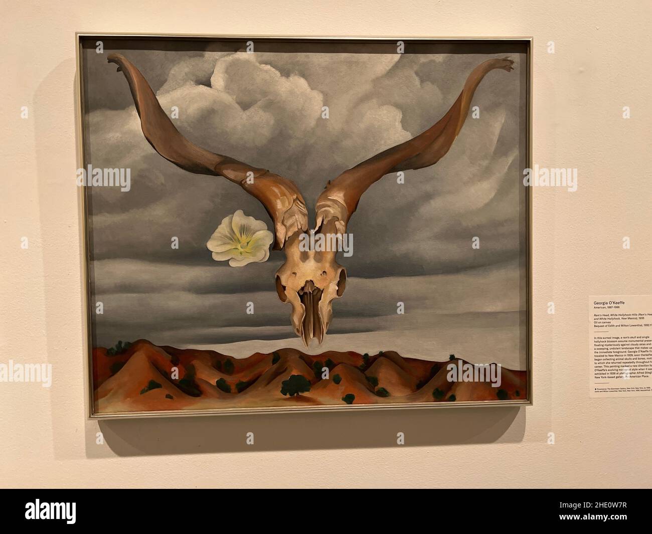 SuN F Lower New Mexico 1935ジョージア オキーフ VCREJL（An