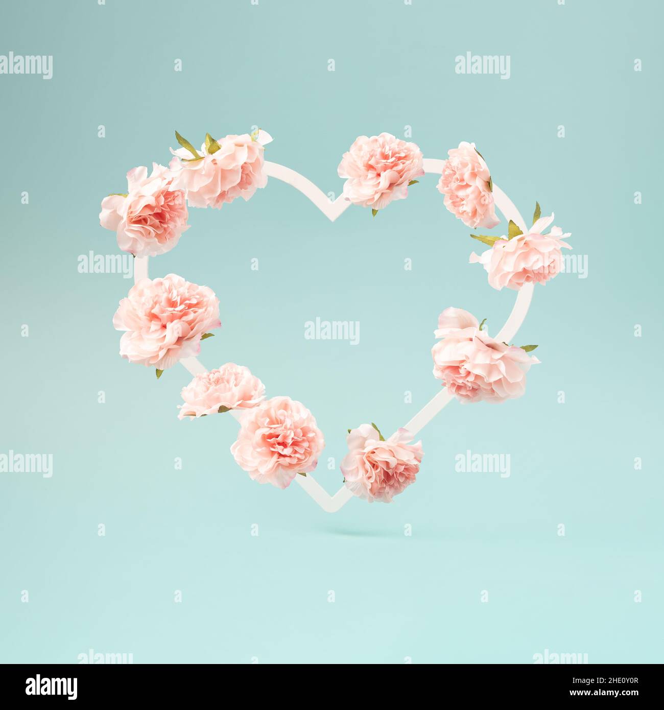 Flowers arranged in a heart shape on a pastel blue background. Romance and love minimal studio shot. Stock Photo