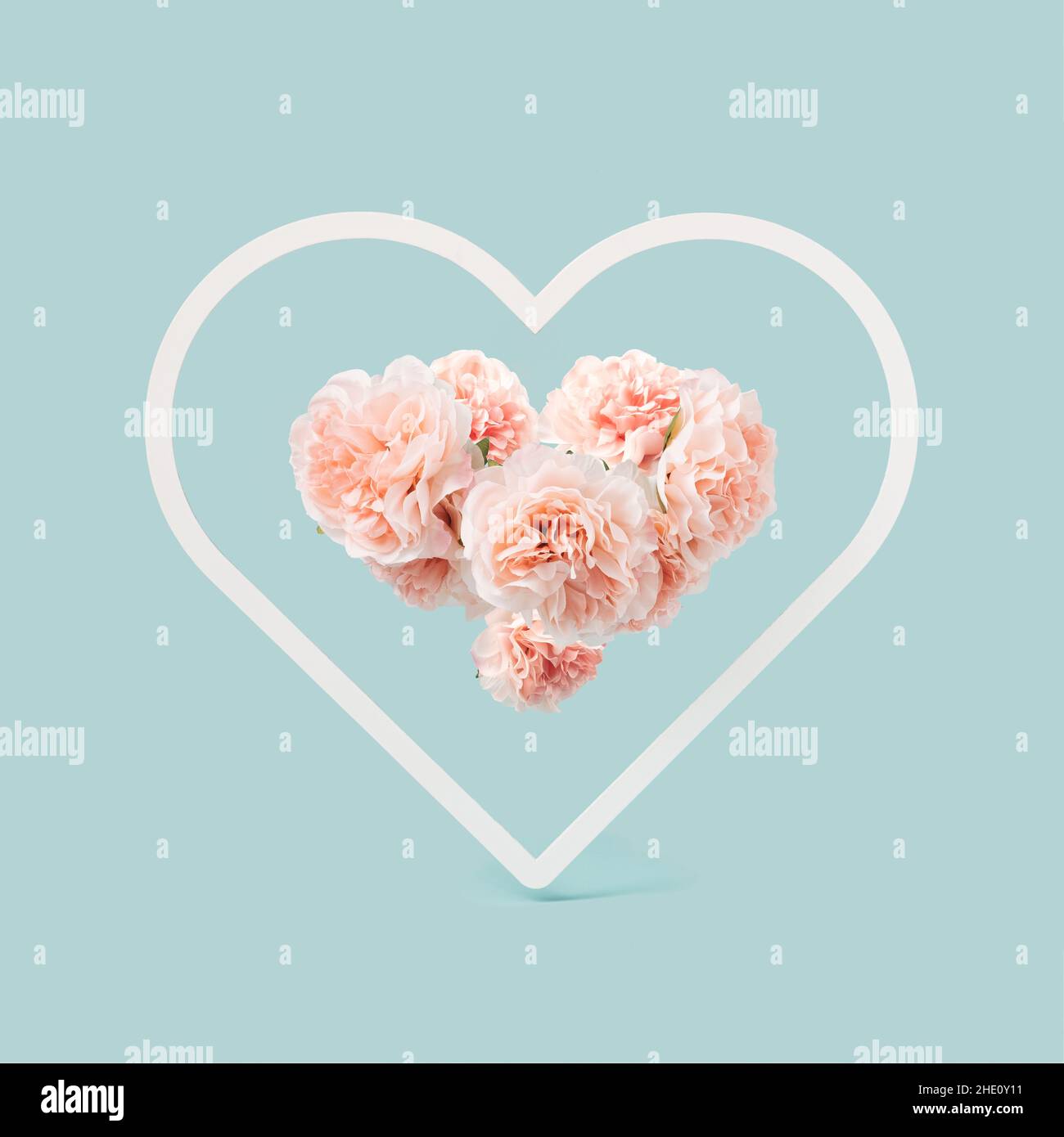 Peonia pink flowers arrangement in a heart shaped frame. Minimal light blue Valentine's background Stock Photo