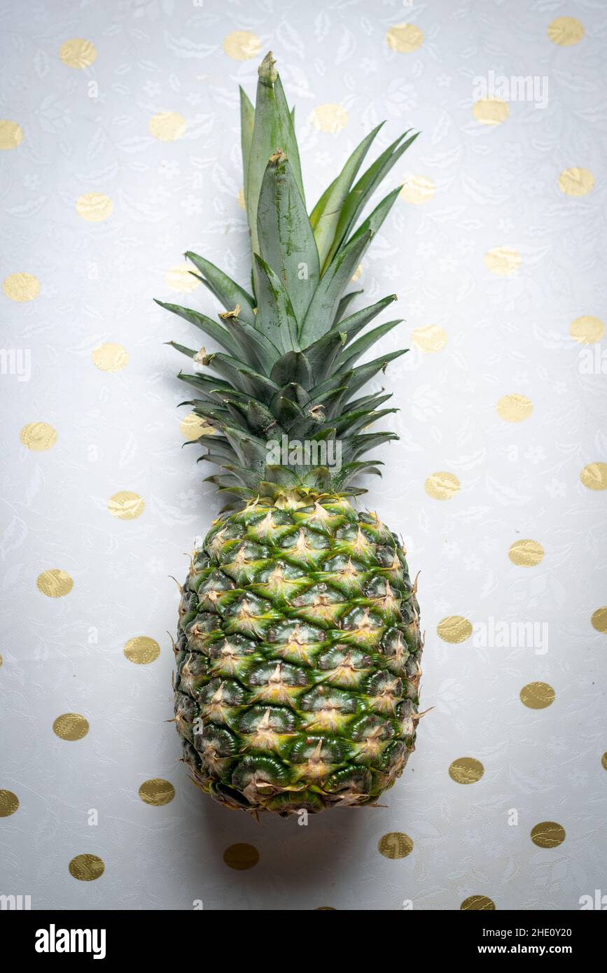 pineapple (Ananas comosus) Stock Photo