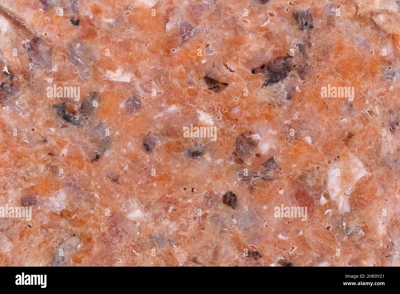 Frozen raw minced salmon fish used for dog food Stock Photo
