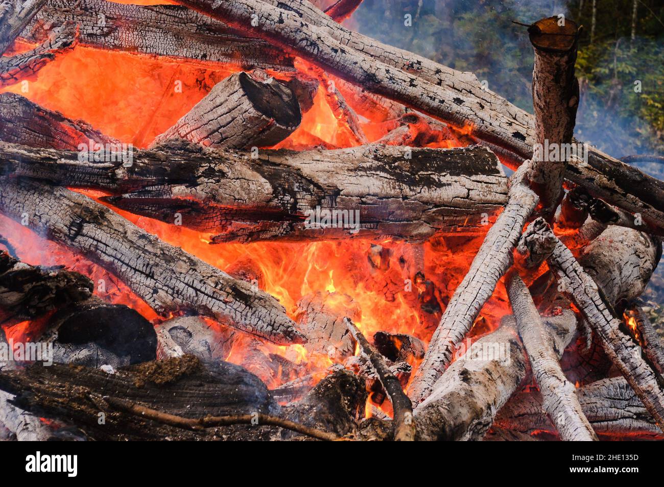 A wood pile of burning cut down trees glowing hot in yellow and orange