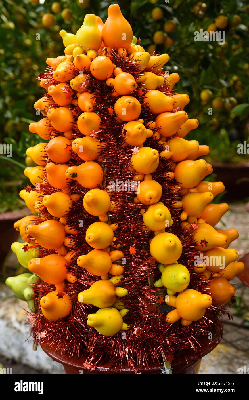 residual fruits, fruits to display the Vietnamese Lunar New Year Stock