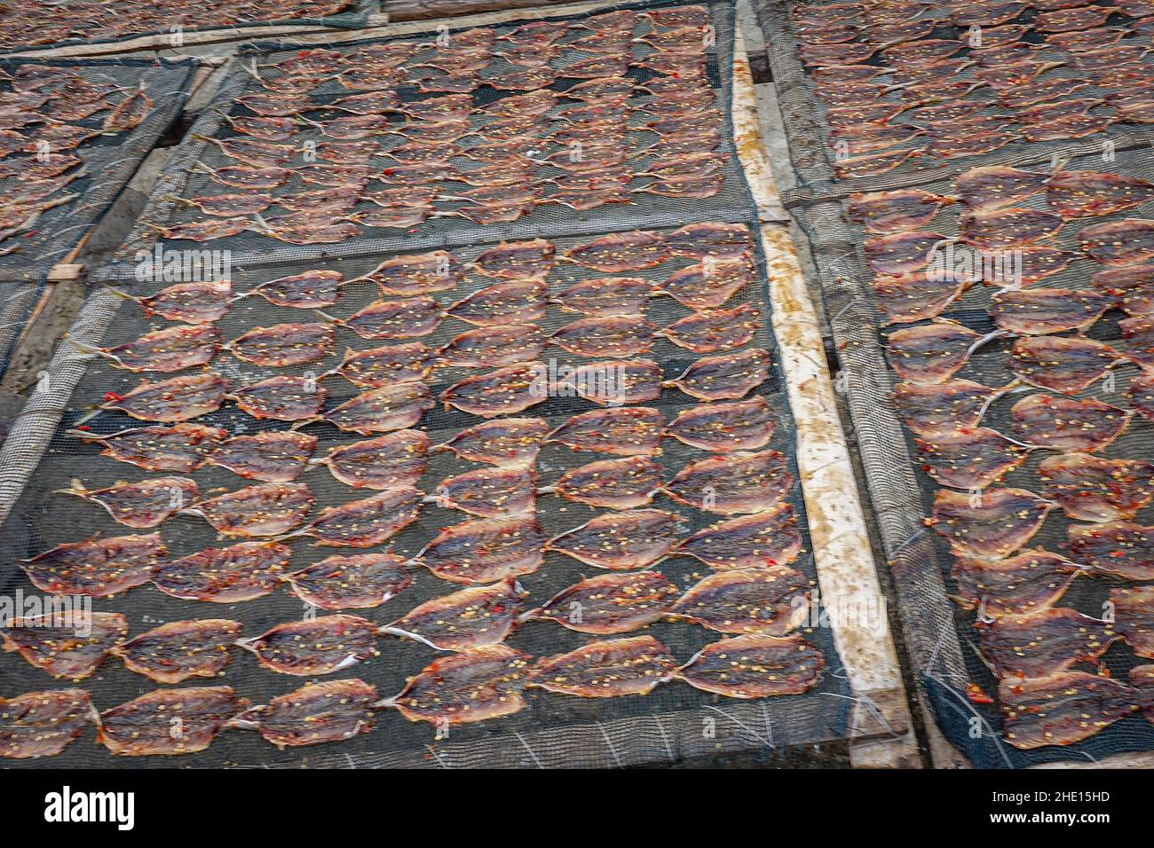 fish is cleaned, seasoned and dried Stock Photo Alamy