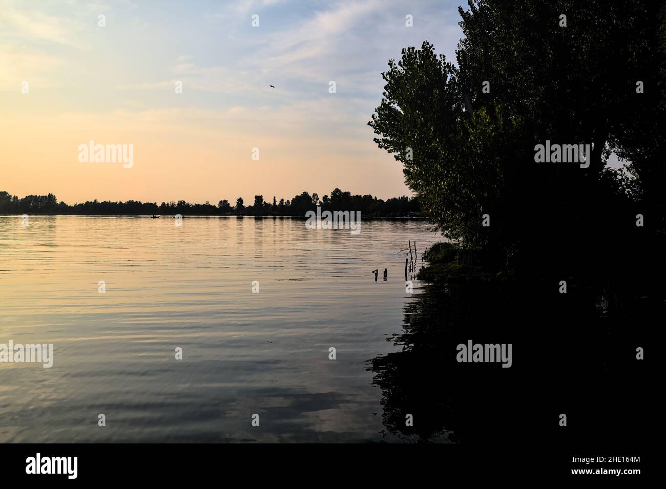 Lake at sunset framed by the silhouette of trees Stock Photo - Alamy