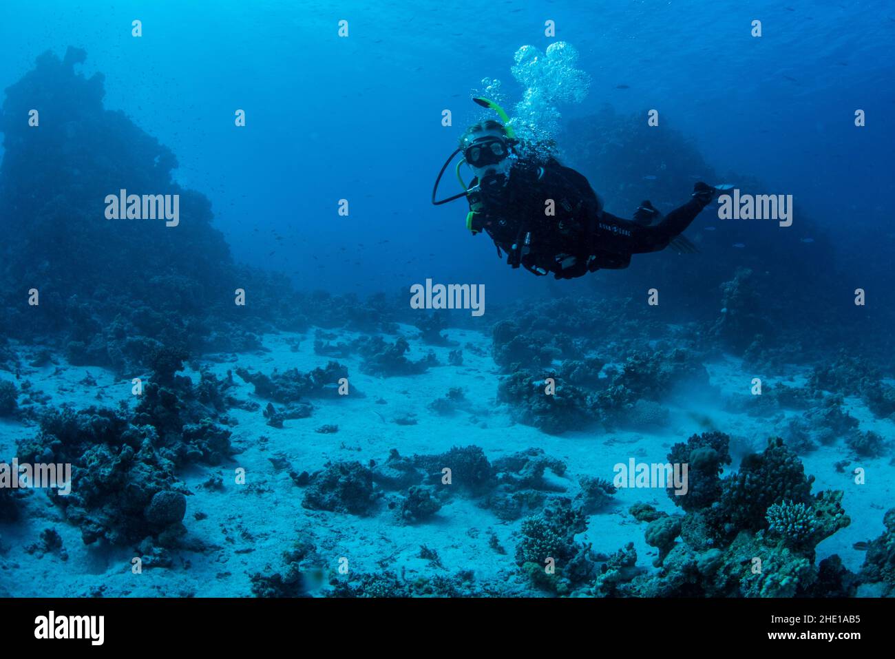 A scuba diver in the Red Sea off the coast of Hurghada, Egypt. Stock Photo