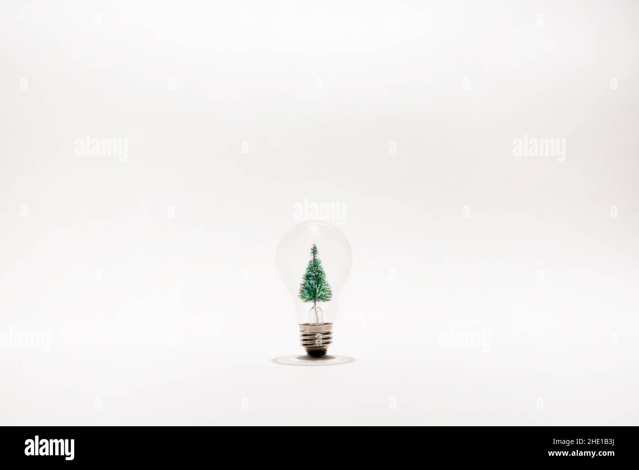 tree inside of lightbulb on white backdrop Stock Photo - Alamy