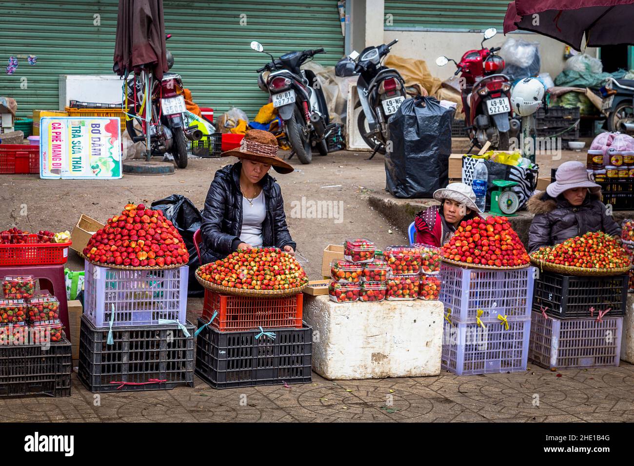 Three women sitting behind their piles of strawberry for sale in Da lat. Stock Photo