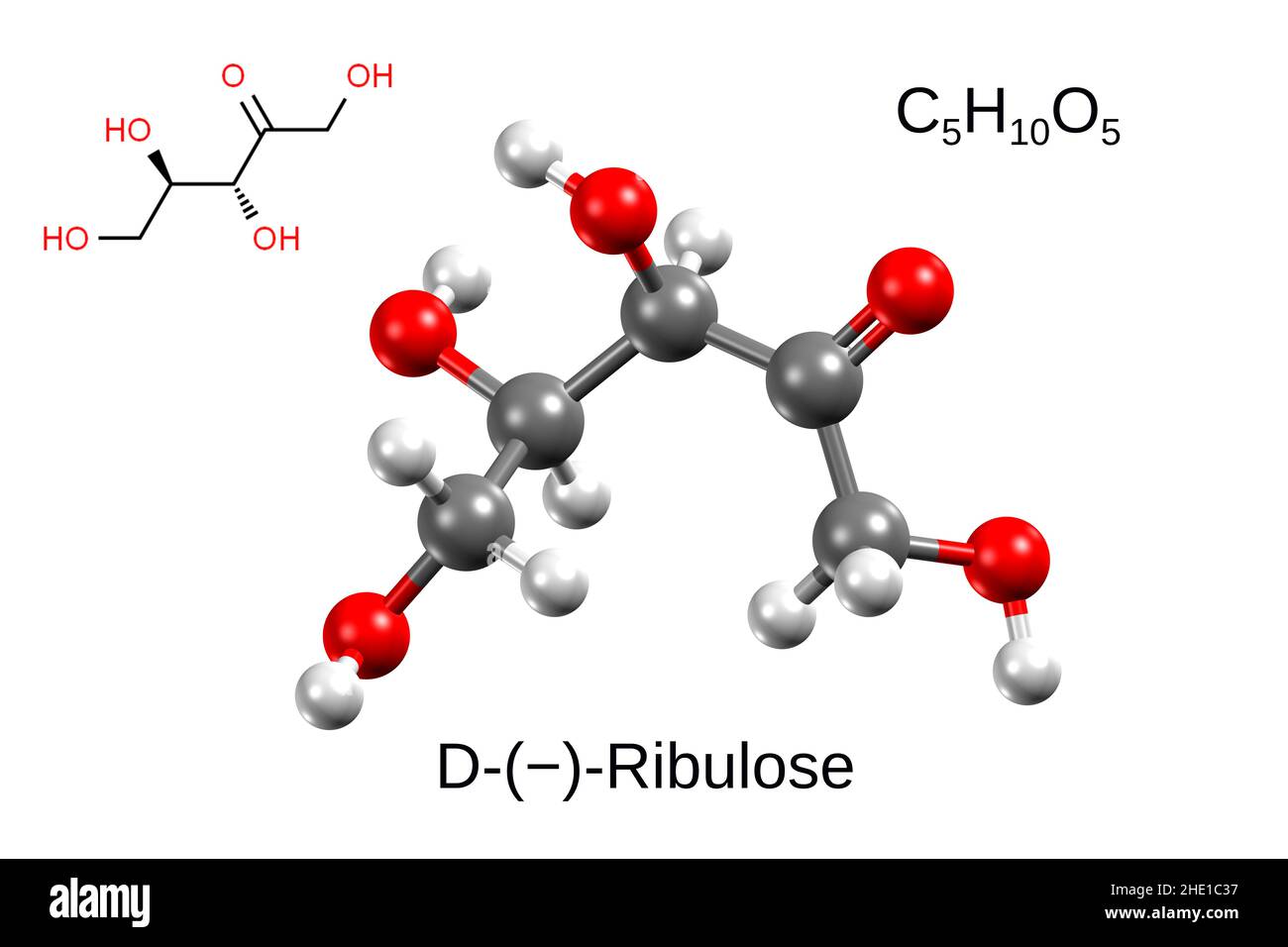 Chemical formula, structural formula and 3D ball-and-stick model of D-ribulose, white background Stock Photo