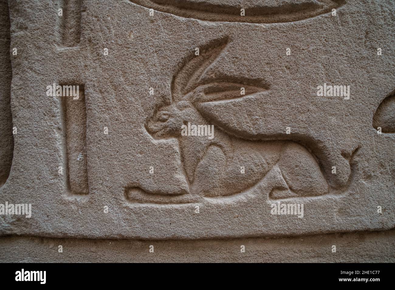 Details hieroglyphic inscription hires stock photography and images